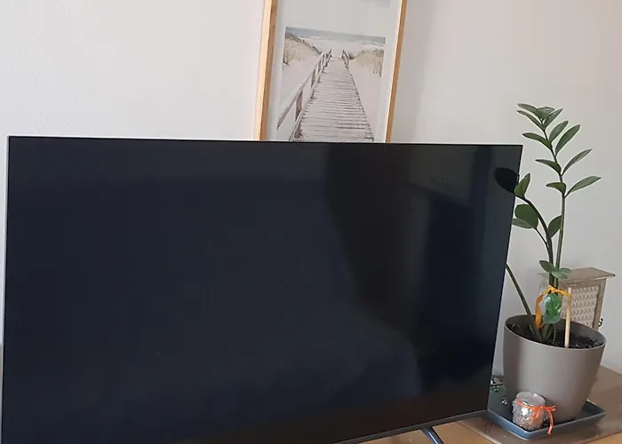 Brzeziny Dworska 24 דירה *