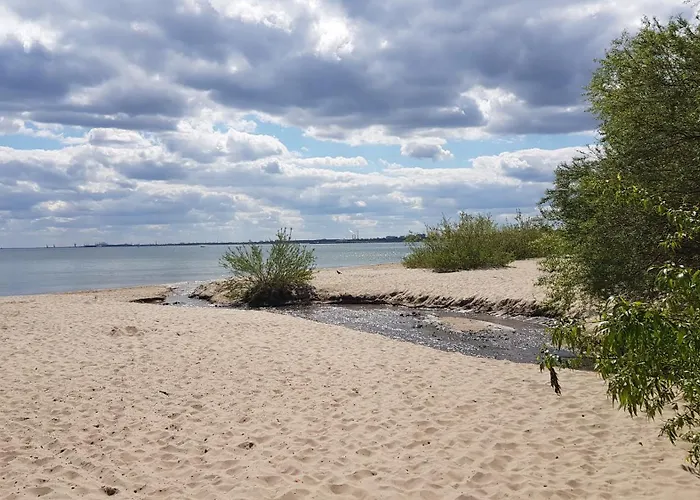 Brzeziny Dworska 24 公寓