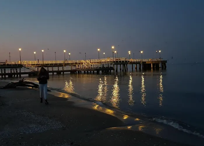 Brzeziny Dworska 24 公寓 *